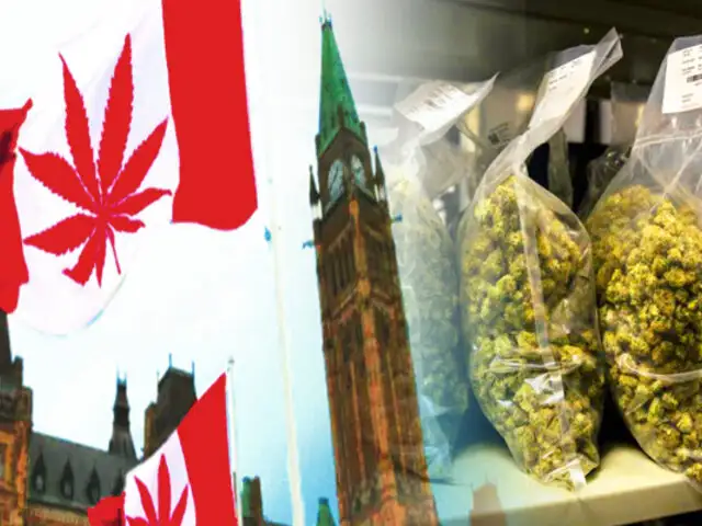 Canadá enfrenta escasez de marihuana legal a pocos días de su legalización