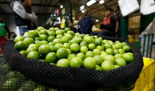 Limón bajó de precio: el kilo se vende desde S/1.50 en Mercado Mayorista de Lima