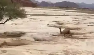 Inundaciones registradas en Arabia Saudita dejan 35 personas fallecidas