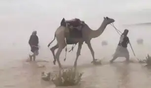 Arabia Saudita: lluvias torrenciales provocaron inundaciones en el desierto