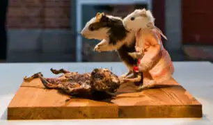Suecia: Cuy peruano se exhibe en ‘Museo de la Comida Asquerosa’