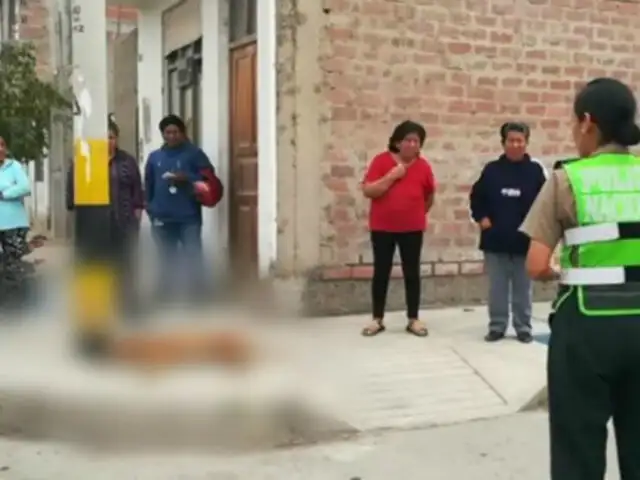 Tacna: hombre disparó contra dos perros callejeros