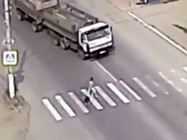 YouTube: Un perro salvó así a su ama de ser arrollada por camión [VIDEO]