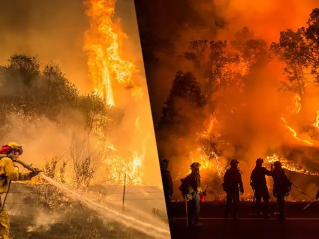 EEUU: se elevan a 31 los muertos por incendio forestal de California