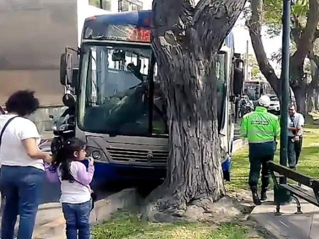 Bus del Corredor Azul se estrelló contra un árbol en Miraflores