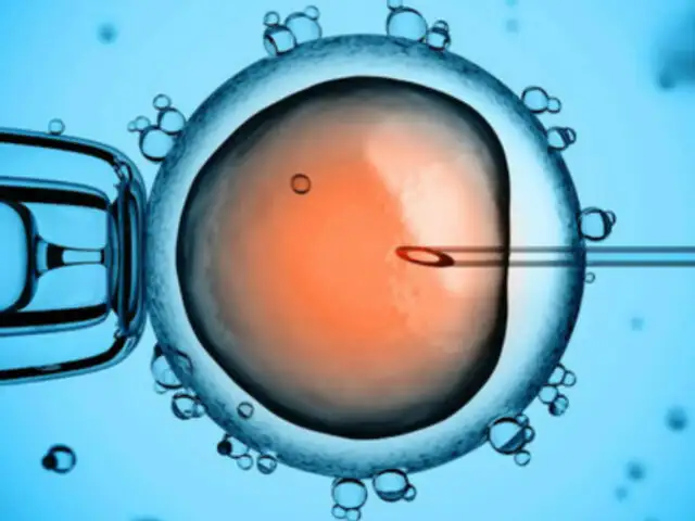 China: científico afirma que existe otro embarazo de bebés modificados genéticamente