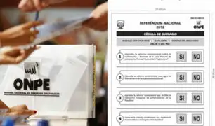 Referéndum 2018: jornada cívica se realizó sin mayores incidentes