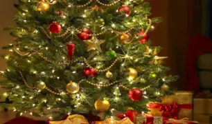 Verde, dorado y rojo: conoce el origen de los colores de Navidad