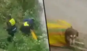 Cusco: serenos rescatan a perro que fue lanzado a río dentro de un costal