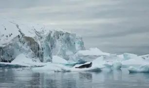 ¿Sabía usted que el hielo de la Antártida se derrite más rápido que hace 40 años?