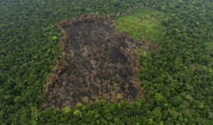 Minería ilegal rompe récord histórico de deforestación en la Amazonía peruana