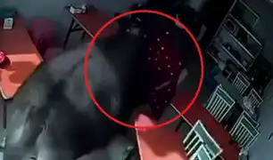 China: búfalo embistió a dos personas al interior de un restaurante