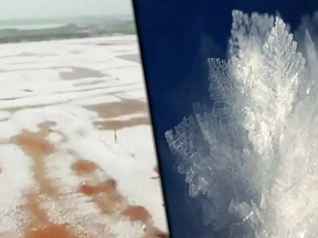 China: cristales de hielo toman formas de flores por bajas temperaturas