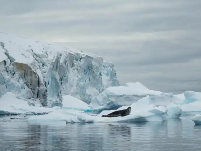 ¿Sabía usted que el hielo de la Antártida se derrite más rápido que hace 40 años?