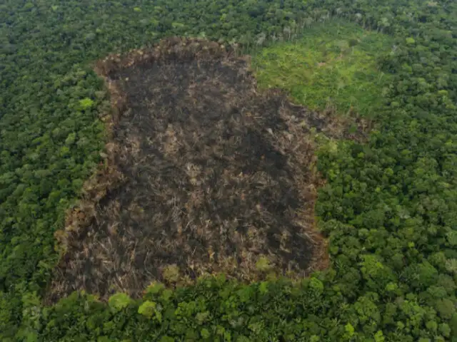 Minería ilegal rompe récord histórico de deforestación en la Amazonía peruana
