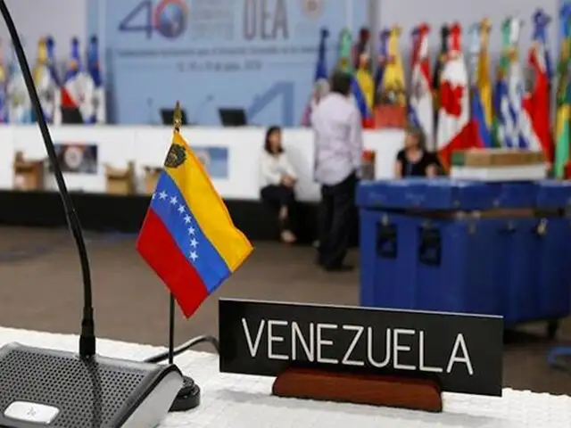 16 países expresan su respaldo a Juan Guaidó ante la OEA y piden garantizar su seguridad