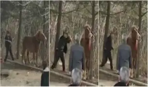 Anciano golpea brutalmente a caballo frente a turistas