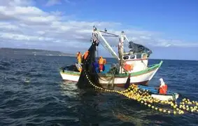 Denuncian que pesca ilegal se incrementó en 60% debido a inacción del Estado