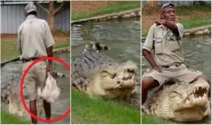 VIDEO: hombre alimenta a cocodrilo con un pollo vivo