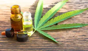 Gobierno publicó reglamento de Ley de cannabis medicinal y derivados