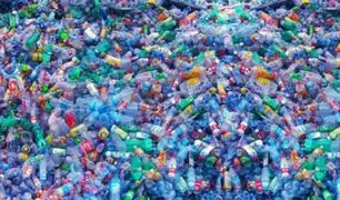 Estos son los cuatro productos naturales que pueden sustituir al plástico