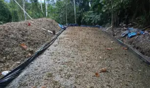 PNP destruye 10 pozas de maceración de hoja de coca en el Vraem