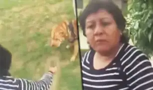 Arequipa: mujer agrede a joven porque sacó a pasear perro en un parque