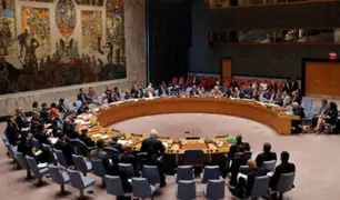 Consejo de Seguridad de la ONU: resoluciones de EE.UU. y Rusia fueron vetadas