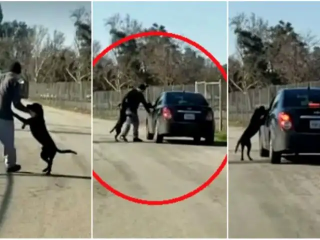 Hombre empuja, golpea y abandona a su perro en carretera