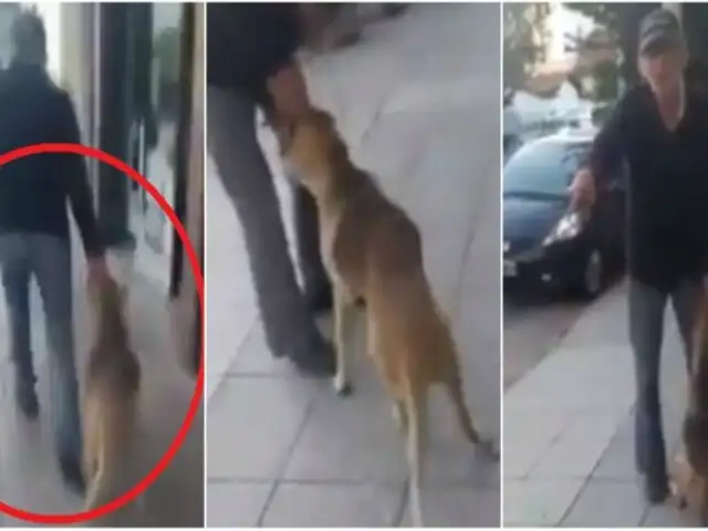 VIDEO: hombre arrastra a perro por varios metros en plena vía pública