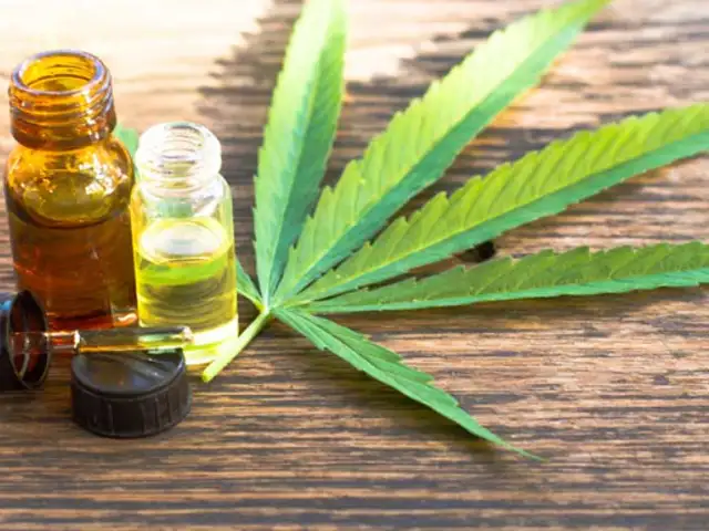 Gobierno publicó reglamento de Ley de cannabis medicinal y derivados
