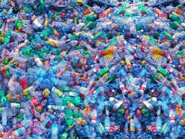 Estos son los cuatro productos naturales que pueden sustituir al plástico