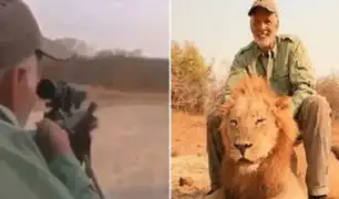 Zimbabue: indignación por cazador que mató a un león mientras dormía
