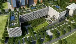 Miraflores promueve construcción de edificaciones con techos verdes
