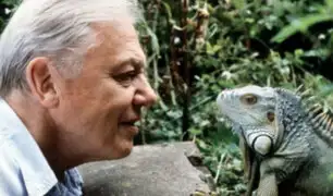 David Attenborough: científico alerta que la vida salvaje "está desapareciendo"
