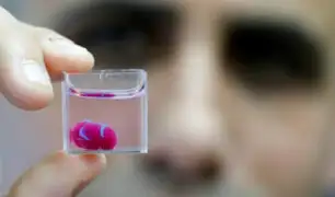 Científicos imprimen corazón con tejidos humanos gracias a tecnología 3D