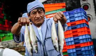 Semana Santa: “Mi pescadería” venderá tres toneladas de pescado a bajos precios