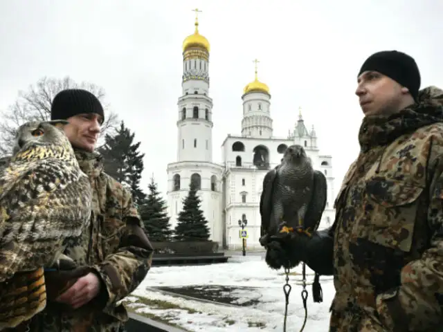 Rusia: águilas y búhos resguardan invernaderos del kremlin
