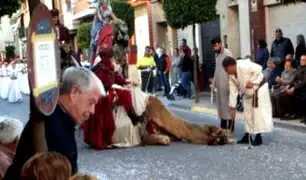 España: un camello se desmaya en popular festividad