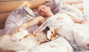 Dormir con tu mascota podría mejorar la calidad de tu sueño