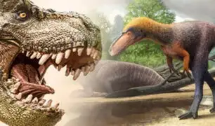 EEUU: descubren fósiles de un pariente del “Tyrannosaurus Rex” en Nuevo México