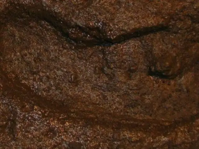 Insólito: paleontólogos descubren la huella humana más antigua de toda América
