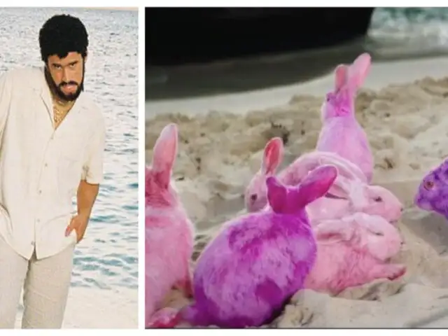 Acusan a Bad Bunny de maltrato animal por pintar conejos para su nuevo videoclip