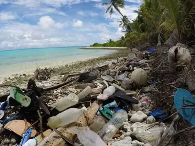 Australia: más de 200 toneladas de plástico halladas en una isla