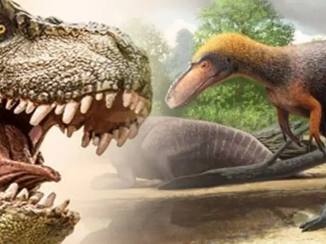 EEUU: descubren fósiles de un pariente del “Tyrannosaurus Rex” en Nuevo México