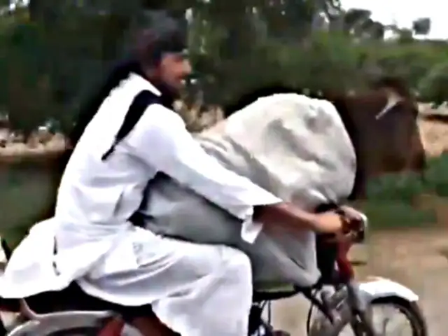 VIDEO: captan a hombre paseando a vaca en motocicleta