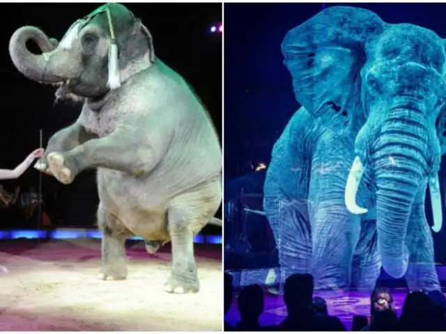 Circo sustituye animales por hologramas para combatir el maltrato