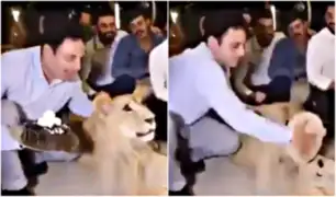 VIDEO: hombre lanza torta en la cara de leona