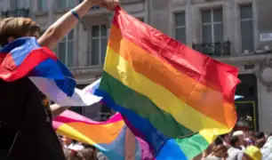 Brasil: Corte Suprema tipifica la homofobia como delito penal