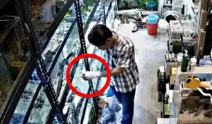 Hombre es captado envenenando decenas de peces en tienda de mascotas